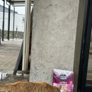 냥글냥글 이미지