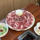 오리79