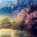 Memory of  이미지