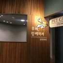 큰마음동물메디컬센터 이미지