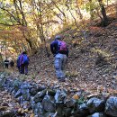 “행복걷기! 금강송 숲길, 가을 단풍에 흠뻑 젖다” / 울진21닷컴, 2010년 12월 01일 이미지