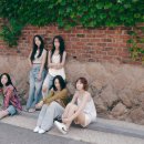 카라 미디어 이미지