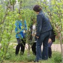 성안중학교 이미지
