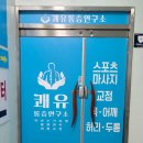 하루하루움직임연구소 | 광주스포츠마사지 추천: 쾌유마사지통증연구소 전신교정관리 60분 후기