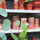 월평3호 이미지