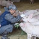 증도농장 이미지