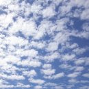 하늘도서관 이미지