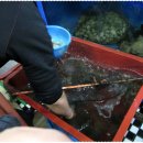 물가맛있게먹는날 이미지