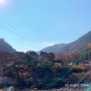 운일암반일암 국민여가 캠핑장 이미지