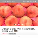훈박이네