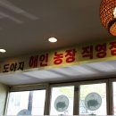 까망도야지