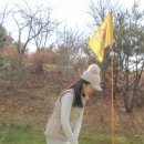 고고골프 이미지