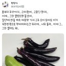 텃밭 또는 주말농장해본 사람만 아는 고통 이미지