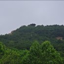 옥구공원 티스토리