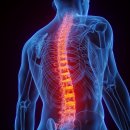 서울튼튼신경외과의원 이미지