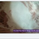 김치와밤참 이미지