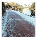 GS25수유대로점 이미지