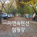 청도 자연속펜션캠핑장 아이들과 캠핑 후기 (할로윈캠핑)