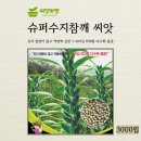 진미슈퍼 이미지