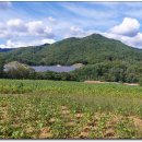 응봉농장 이미지