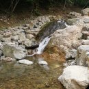 감천계곡 입구 이미지