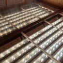 (주)유 대구지사 | [대구 수성구 챔버테라피] 디니힐링 대구지사