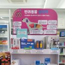 코끼리온누리약국 이미지