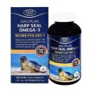 에버그린 이미지