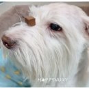 해피동물약국 이미지