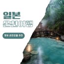 일본 벳푸 온천 여행 료칸 숙소 추천 아마네 리조트 세이카이, 렉스, 스기노이 호텔
