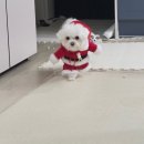 병영5일시장 | I'm into sashimi and alcohol