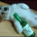 옛날막창 이미지