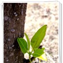 풍호체육공원 이미지