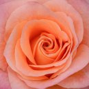 곡성-173 이미지