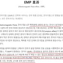 최첨단 무기를 일거에 고철 덩어리로 만들어 강력 신무기 북한의 EMP 공격에 대비해야 이미지