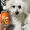 미라클덴탈 | 라미나로프 강아지, 고양이 입냄새 제거용 마시는 치약 양치 덴탈워터 후기!