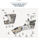 평촌 이미지