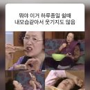토토망 일상모음zip : 5월 일상 (나의 생일, 집밥로그, 맛집, 여행..)