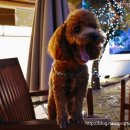 봉곡동164 이미지