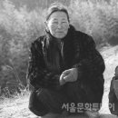 장터이야기