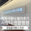 더숲약국 | 난이도 높은 매복 사랑니 발치후기 (ft.잠실숲사랑니)