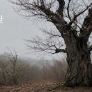 굳은살 | 시인 K의 영상시 | 마음의 길 이미지