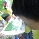 월문초등학교(병설) 이미지