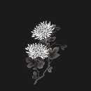 광천농협은하지점 이미지