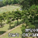 분당수목장 이미지