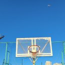 임호체육공원 이미지