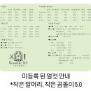 Groomer. NJ (그루머엔제이) | 부산 동래 애견미용 그루머엔제이 믿고 맡길 수 있는 부산 애견미용실