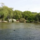 초록바람 이미지