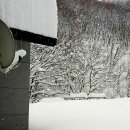 언별1리 이미지