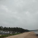 송계솔밭 화장실 이미지